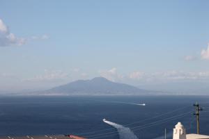IMG 8683