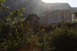 IMG 8727