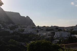 IMG 8743