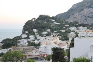 IMG 8835